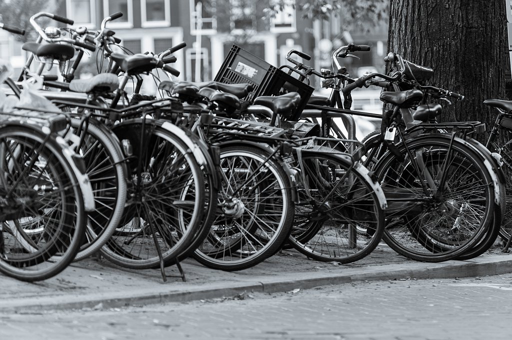 Cyclepassion