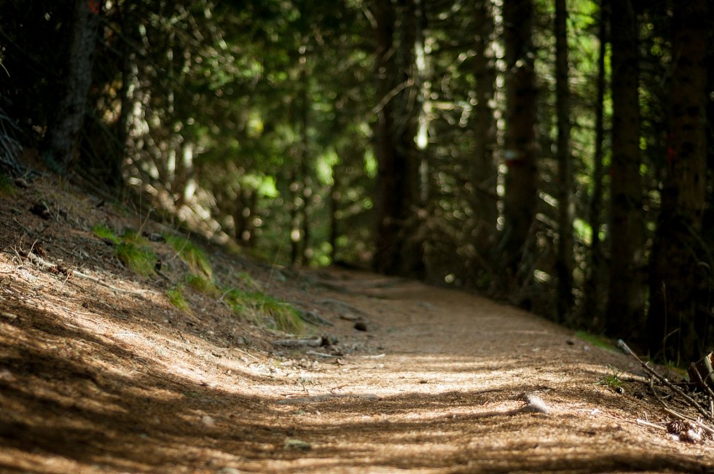 Path I