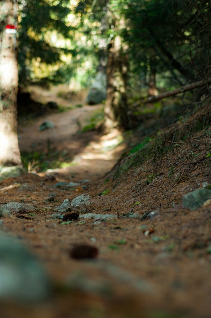 Path IV