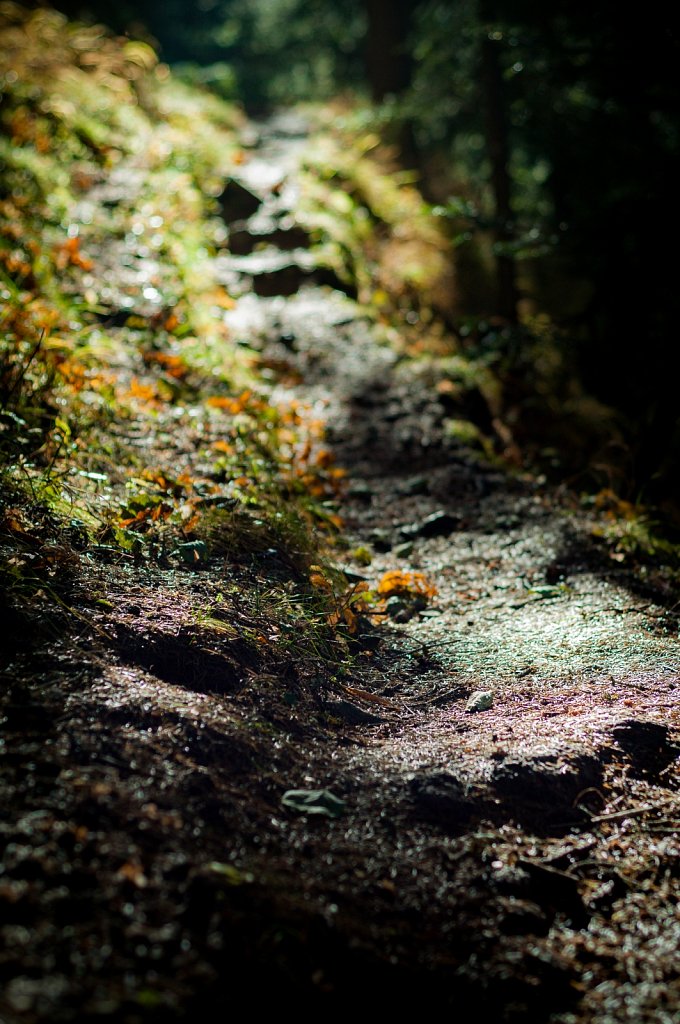Path V