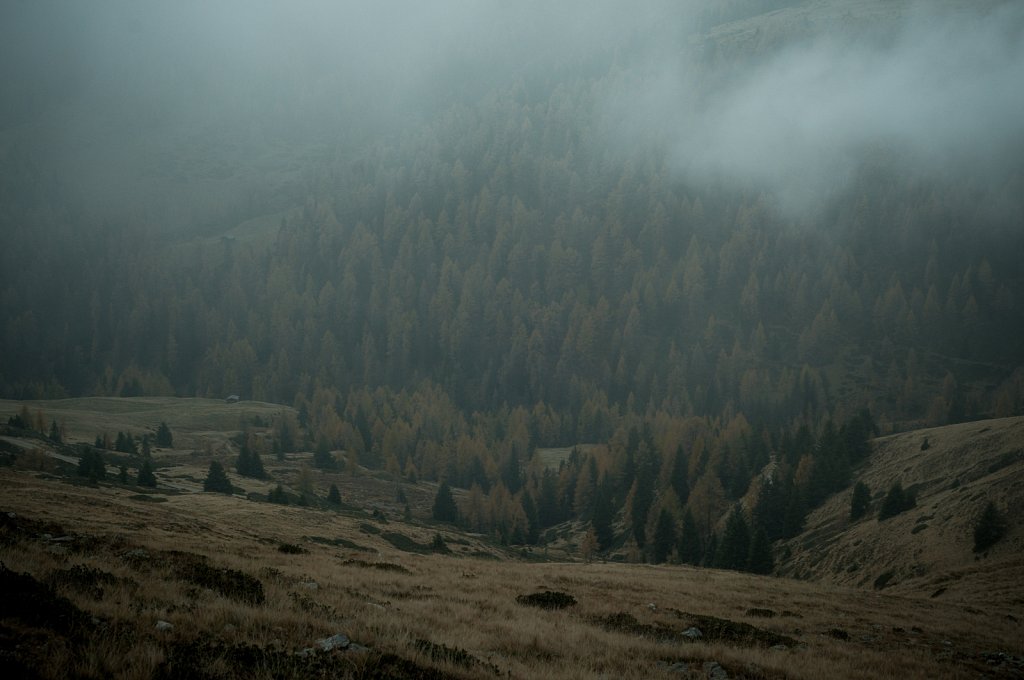 Misty
