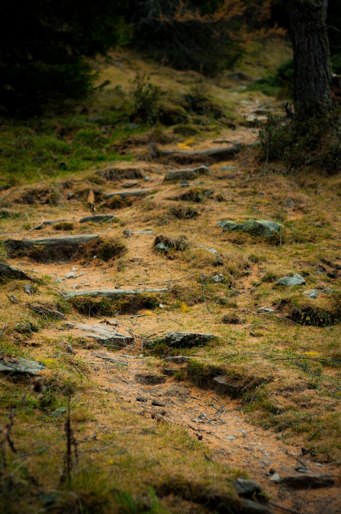 Path IX