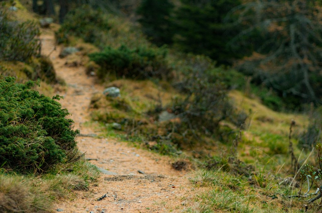 Path X